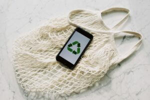 Read more about the article Achieving Zero-Waste_ The Milestones to Declare Yourself Waste-Free